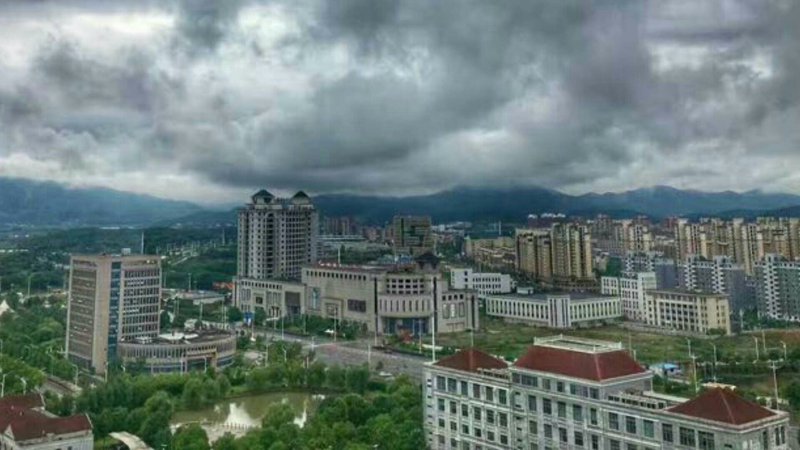 食品批发：企业如何在市场竞争中脱颖而出